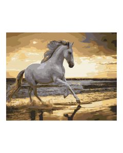 Maľovanie podľa čísel „Cválajúci kôň na pobreží“, 40 x 50 cm