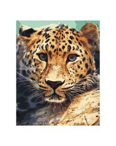 Maľovanie podľa čísel „Leopard“, 40 x 50 cm