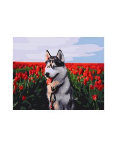 Maľovanie podľa čísel „Husky v tulipánovom poli“, 40 x 50 cm