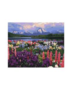 Maľovanie podľa čísel „Údolie divých kvetov“, 40 x 50 cm