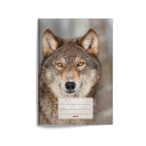 Zošit A5 „vlk“, 2023, 20 listov, linajkový (12 mm), 523