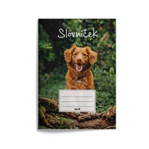 Zošit A5 „slovníček – pes“, 2022, 30 listov, linajkový (8 mm), 534, 3 stĺpce na slovíčka