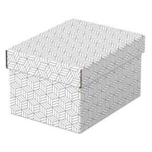 Úložná krabica s vrchnákom Esselte Home, 255 x 200 x 150mm, 3 ks, biela