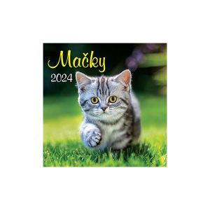 Nástenný kalendár na rok 2024 „Mačky“, N51, 33 x 33 cm